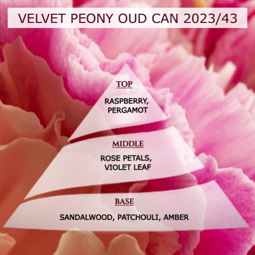 Άρωμα για κερί-reed diffuser VELVET PEONY OUD **-AR2023/43